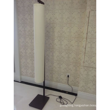 Fashion Design Decorative Home Use Floor Lamp (WGF01/00/003)